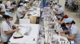 Vietnam believed to gain the most in TPP