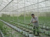 Nguyễn Văn Đẹp: Người đưa tiến bộ công nghệ vào sản xuất nông nghiệp