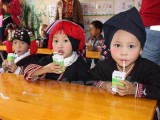Mộc Châu: Trẻ mầm non được uống sữa tươi miễn phí mỗi ngày