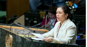 越南出席第七十届联合国大会裁军及国际安全委员会一般性辩论