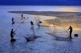 Vietnamese photos win 5 prizes at World Bank contest