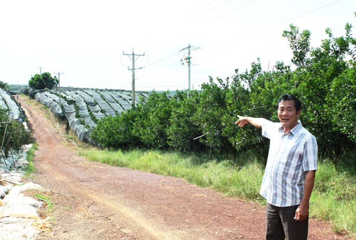 Xây dựng Hiếu Liêm trở thành vùng du lịch sinh thái