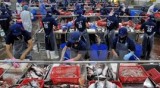 Vietnam takes advantage of staples when joining TPP