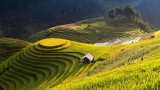 Rough Guides: Ideal itinerary to discovering Vietnam