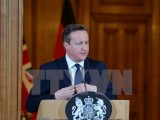 Thủ tướng Anh muốn thuyết phục Hạ viện ủng hộ không kích IS