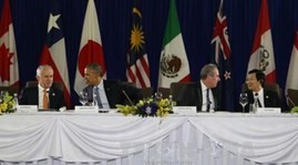 APEC leaders seek closer regional integration in Manila