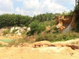 “Trảm” cao su, khai thác đất: Hành vi hủy hoại đất