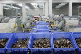 US Senators move to nullify new catfish inspection rules