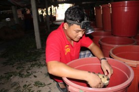 Người nghèo vươn lên; người khá, khá thêm...