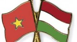 Hungary opens Consulate General in HCM City