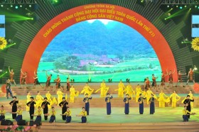 越南举行盛大文艺晚会 庆祝越共十二大取得圆满成功