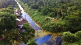 Discovering U Minh Ha forest