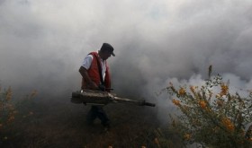 Race for Zika vaccine gathers momentum as virus spreads