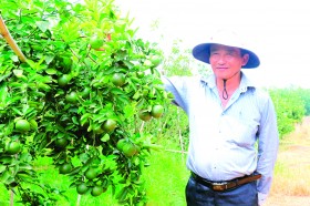 Nông nghiệp ứng dụng công nghệ cao: Hướng phát triển tất yếu