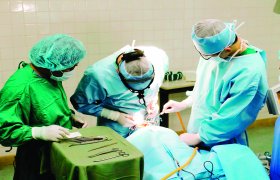 Nụ cười xuân...