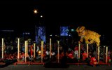Liên hoan nghệ thuật lân sư rồng Bình Dương năm 2016: CLB lân sư rồng An Nghĩa Đường đoạt giải nhất
