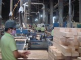 Wood industry must speed up