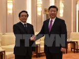 Chủ tịch Trung Quốc tiếp đặc phái viên Tổng Bí thư Nguyễn Phú Trọng