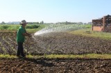 Watering resources to be rationalized for agriculture production