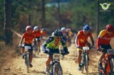 Int’l cycling championship kicks off in Da Lat