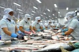 US pledges not to hinder Vietnam’s export of tra fish: official