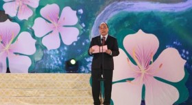 2016年洋紫荆花节在奠边省拉开序幕
