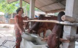 Chăn nuôi bò thịt: Hướng đi hiệu quả của người dân xã Long Nguyên