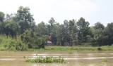 Độ mặn trên sông Sài Gòn và Đồng Nai chưa ảnh hưởng đến sản xuất nông nghiệp