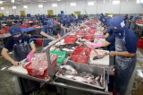 Vietnam’s aquatic exports up 1.7 percent in Q1