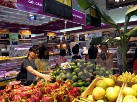 Domestic retailers struggle to compete with foreign rivals