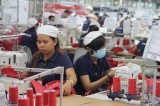 Khu Công nghiệp Việt Nam - Singapore:  Tiếp tục hấp dẫn các nhà đầu tư