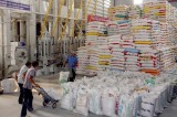 Thị trường xuất khẩu gạo của Việt Nam sẽ không bị ảnh hưởng