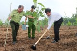 Tree-planting festival launched in Binh Duong