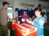 Cử tri trong tỉnh nô nức đi bầu cử