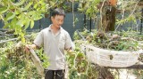 Đoàn Lai Uyên: Người bảo tồn và nhân giống lan rừng