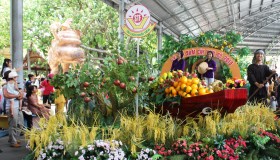 2016年南部水果节正式开幕