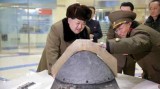 DPRK apparently reopened plant to produce plutonium: IAEA