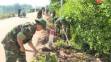 Lực lượng vũ trang tỉnh: Chung sức xây dựng nông thôn mới