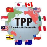 TPP及其对越南所产生的影响