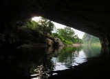 Phong Nha – Ke Bang botanical garden eco-tourism magnet