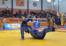 第四次欧洲越武道锦标赛落户瑞士