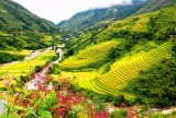 越南沙巴、会安、下龙湾被列入亚洲最美丽目的地名单