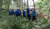 Tuổi trẻ huyện Phú Giáo: Chung sức xây dựng nông thôn mới