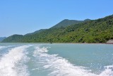 Ba Mun island - a paradise for wild animals