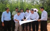 Ban Kinh tế - Ngân sách HĐND tỉnh khảo sát các loại rừng phòng hộ tại Dầu Tiếng
