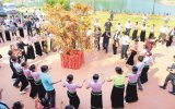 Xoe dance hoped to be intangible cultural heritage of humanity