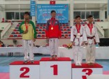 Binh Duong sets an exploit at 9th national Phu Dong sports festival