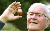 Trứng gà hai màu độc nhất vô nhị ở Anh