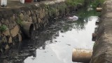 Tình trạng kênh, rạch ở Tp.Thủ Dầu Một bị ô nhiễm: Cần khẩn trương có giải pháp khắc phục