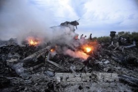 Malaysian lawyers propose bringing MH17 case to ICC